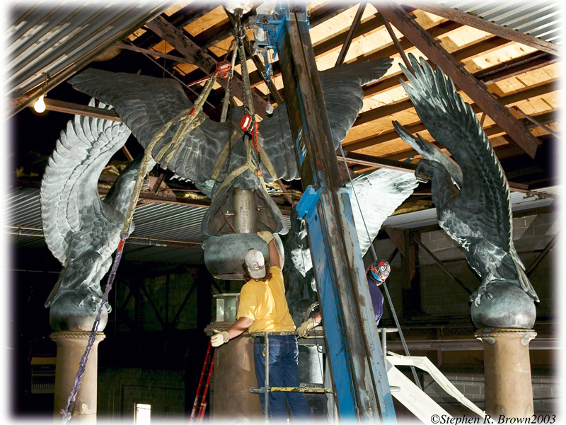eagleattopDSC_1408