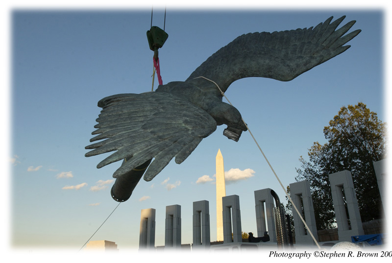 eaglebestthreeDSC_2491