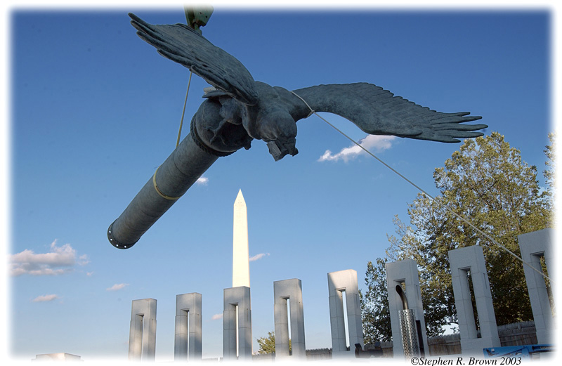 eagleoverheadoneDSC_2474