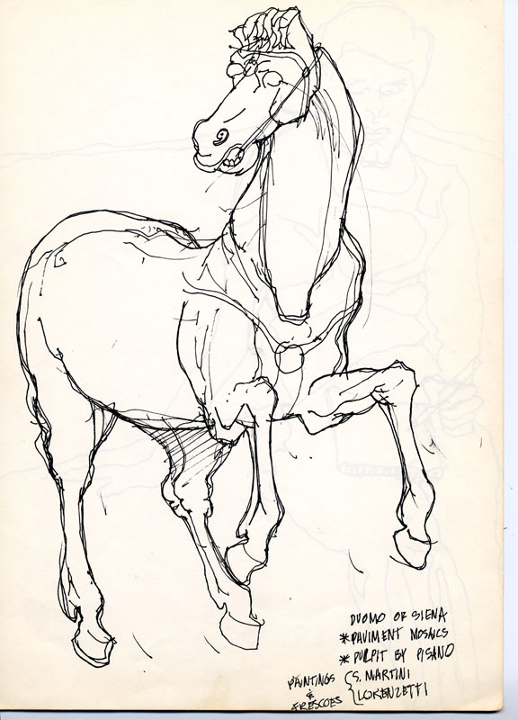 horse