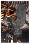 eagleascentDSC_1384