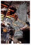 eagleascentcorrectDSC_1384