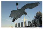 eaglebestthreeDSC_2491