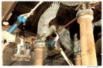 eaglecranesDSC_1417
