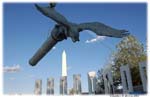 eagleoverheadoneDSC_2474