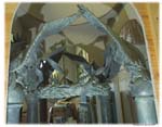 eaglesinscaleDSC_0983