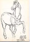 horse