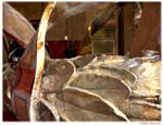 stainlesssteelDSC_1288