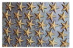starsDSC_0949