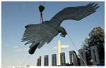 16_eaglebestthreeDSC_2491